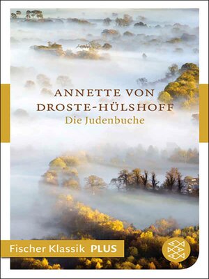 cover image of Die Judenbuche